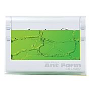 Ant Farm Gel Colony